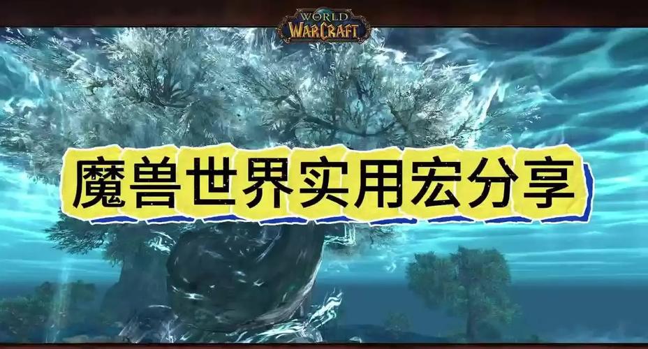 魔兽世界私服发布网大揭秘，探索游戏世界的新维度