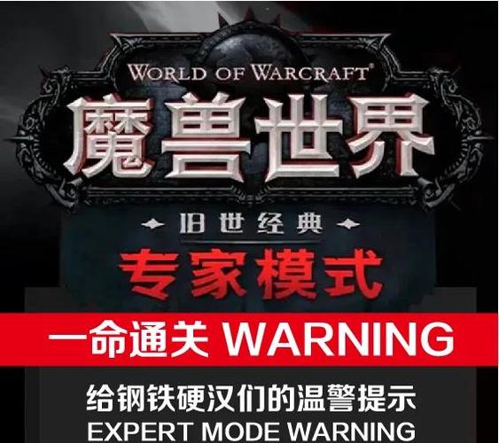 魔兽世界私服人气排行榜，玩家最爱的私服选择