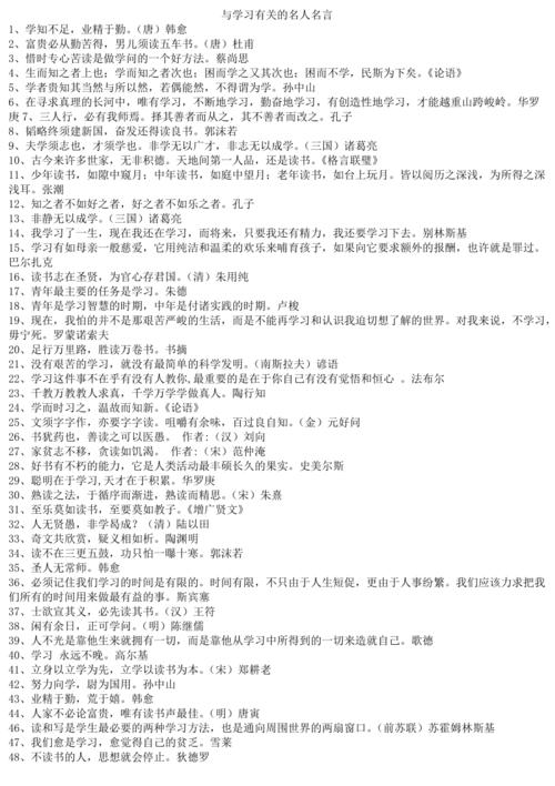 探索数字时代的隐私与安全，挑战、机遇与未来展望